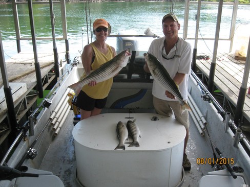 Nice Striped Bass